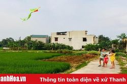 Cánh diều tuổi thơ