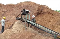 Kinh tế Thông tin thị trường Xuất khẩu đồ gỗ tăng mạnh