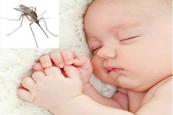 Điều trị và ngăn ngừa trẻ bị muỗi đốt