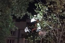 Xử phạt nam thanh niên sáng sớm đã la hét trên...cột đèn