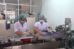 Triệt phá bốn cơ sở sản xuất thuốc, thực phẩm chức năng giả quy mô lớn