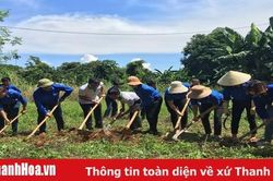 Khởi công xây dựng công trình trường học 'Vì trẻ em vùng cao' tại xã Thành Tân (Thạch Thành)