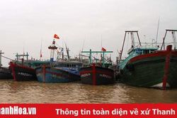 Toàn tỉnh có 78 tàu cá khai thác hải sản ở Trường Sa, Hoàng Sa