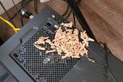 Đang stream, game thủ bị 'hoàng thượng' phá hỏng PC