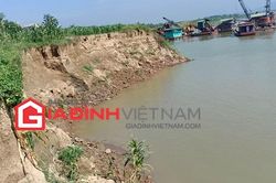 Bờ kè quốc gia trên sông Lô, Phú Thọ bị sạt: 'Công ty Thái Sơn có một phần trách nhiệm'