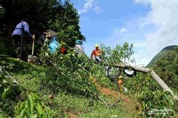 Tìm giải pháp hạn chế tình trạng mất điện ở huyện miền núi Quế Phong