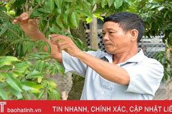 Bí thư chi bộ vùng giáo trăn trở việc làng, tiên phong việc Đảng
