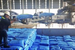 Đạm Cà Mau vượt khó bằng nhiều giải pháp thiết thực