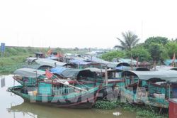Hàng trăm tàu cá tại Phú Yên phải nằm bờ do vướng quy định