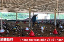 Đảng bộ xã Hóa Quỳ nâng cao chất lượng tiêu chí xây dựng nông thôn mới