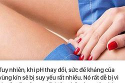 Chuyên gia chỉ ra 3 loại thực phẩm giúp phòng ngừa viêm nhiễm vùng kín ở phụ nữ