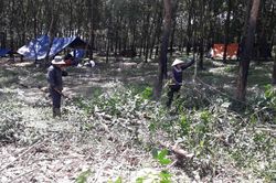 Vướng mắc khi triển khai dự án sân bay Long Thành