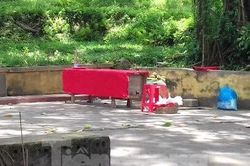 Kinh hãi phát hiện thi thể phụ nữ ở gốc đa trước cổng chùa