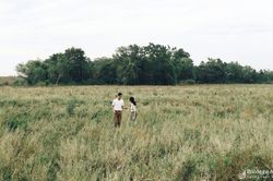 'Dân săn ảnh' ở Nghệ An 'nóng ruột' với đồng cỏ tại chân đê Hưng Hòa