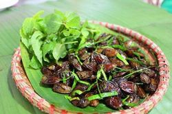 Rùng mình ăn đặc sản Sơn La, bắt đầy ngoài ruộng giá đắt ngang ngửa bò Mỹ
