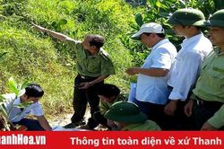 Hạt Kiểm lâm Cẩm Thủy chủ động bảo vệ và phát triển rừng
