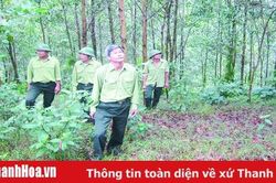 Chủ động xây dựng và quản lý rừng phòng hộ đầu nguồn Sông Chu