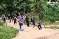 Luật rừng dưới tán rừng