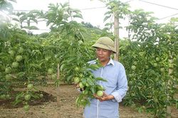 Chiềng Sung phấn đấu đạt chuẩn nông thôn mới năm 2019