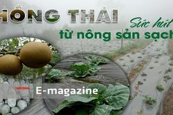 Hồng Thái: Sức hút từ nông sản sạchĐi dân nhớ, ở dân thươngNghĩa cử cao đẹp Ngày Thương binh - Liệt sỹCông nhân Công ty cổ phần Woodsland Tuyên Quang vào caĐa sắc màu các dân tộcKhông khoan nhượng với tội phạm ma tuý3 ngày thi THPT quốc gia an toàn, nghiê