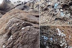 Một thời đại của 'ô nhiễm trắng'
