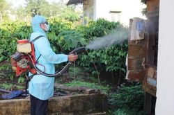 Thêm bệnh nhân tử vong do sốt xuất huyết ở Đác Lắc