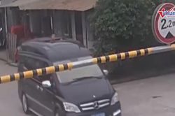 Bố sơ ý khiến con đập đầu vào thanh barie khi thò người lên cửa sổ trời