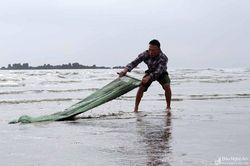 Ngư dân Nghệ An 'lọc' cát biển bắt ốc cườm thu tiền triệu mỗi ngày