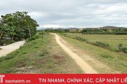 Đê Tân Long 'mong manh' trước mùa mưa bão