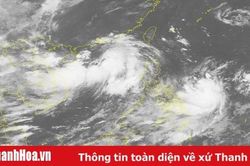 Tin bão gần bờ (Cơn bão số 3 năm 2019)