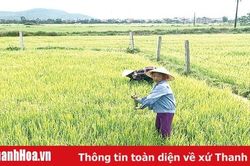Chuyển đổi cơ cấu mùa vụ để nâng cao năng suất, hiệu quả kinh tế