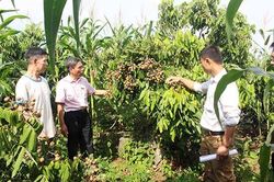 Hiệu quả nguồn vốn vay tín dụng chính sách xã hội