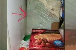 Xác trẻ sơ sinh được một phụ nữ Mỹ cất giữ như báu vật