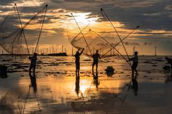 Bình lặng Bạc Liêu