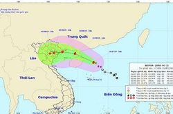 Hải Phòng: Từ 17h ngày 1/8, đình chỉ mọi hoạt động vận tải đường thủy nội địa phòng chống bão số 3