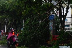 Bão Wipha đổ bộ, Trung Quốc cảnh báo xanh da trời