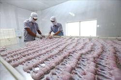 Xuất khẩu nông, lâm, thủy sản 7 tháng tăng 2%