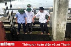 Kiểm tra các công trình phục vụ công tác tiêu thoát lũ