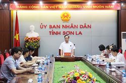 Họp xét tặng danh hiệu 'Thầy thuốc ưu tú', 'Thầy thuốc nhân dân'
