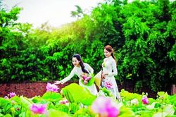 Nông thôn và văn học nghệ thuật