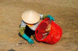 Những 'siêu anh hùng' giữ sạch biển Hạ Long