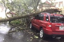 Giông lốc, nhiều nhà dân tốc mái, mất điện, cây cối hoa màu gãy đổ