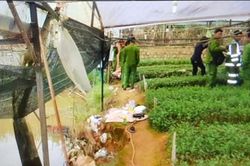 Cặp tình nhân chết trong tư thế ôm nhau, dây điện cuốn quanh người