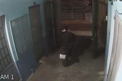 Trộm vào phòng trọ 'dọn' sạch tài sản của nữ công nhân nhiều năm tích cóp