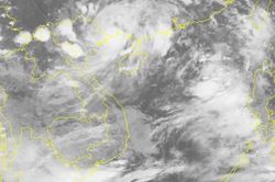Bão số 3 cách Móng Cái 80km, sức gió mạnh nhất giật cấp 12