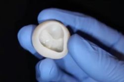 Máy in 3D tạo ra các bộ phận chức năng của tim không có collagen