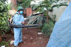 Liên tục tăng số ca sốt xuất huyết tại Long An
