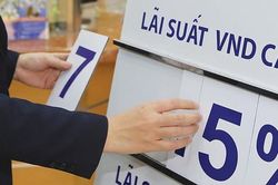 BVSC: Việt Nam khó thiết lập được mặt bằng lãi suất thấp hơn