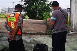 Nghe tiếng khóc trong túi rác đặt dưới gốc cây, người đàn ông phát hiện tội ác kinh hoàng