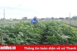 Thêm 16 xã được công nhân đạt chuẩn nông thôn mới